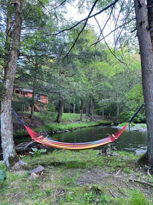 Peaceful Gateway To Island Creek Cottage East Stroudsburg Luaran gambar