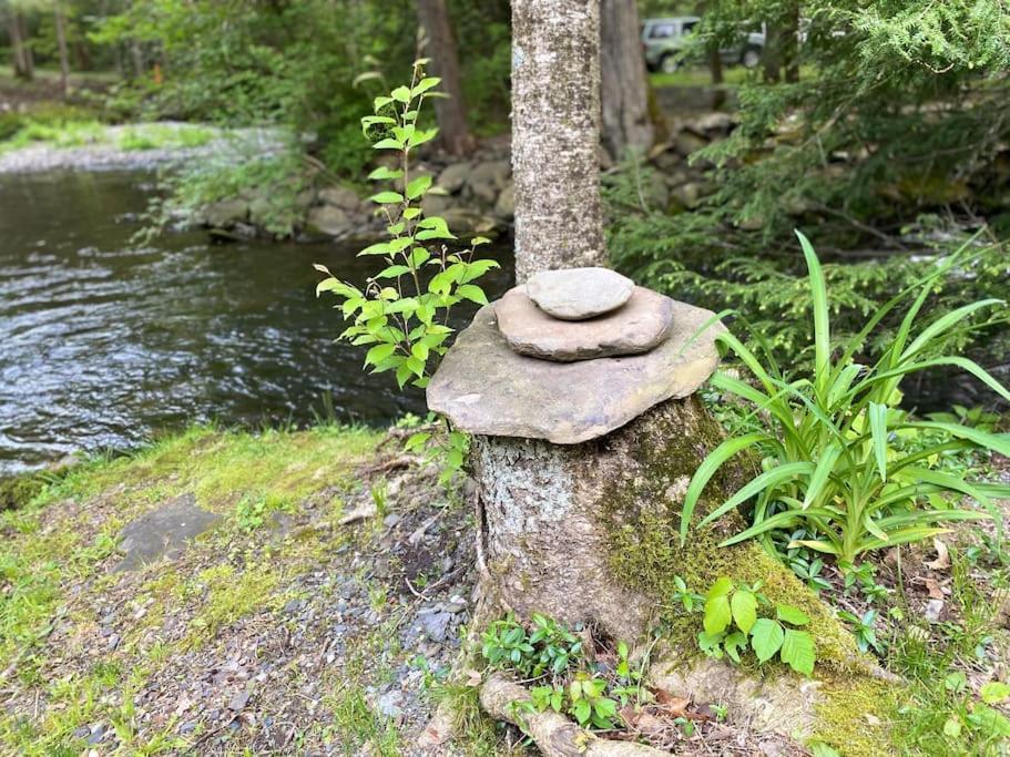 Peaceful Gateway To Island Creek Cottage East Stroudsburg Luaran gambar