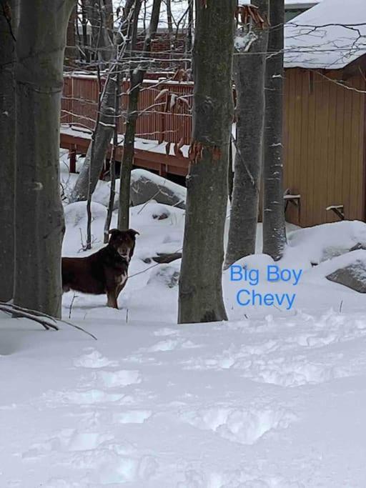 Peaceful Gateway To Island Creek Cottage East Stroudsburg Luaran gambar